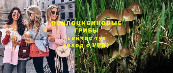 соль ск Приозерск