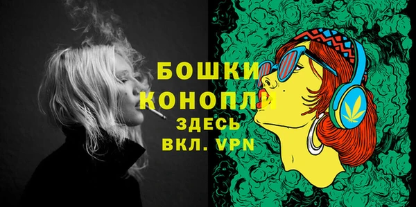 PSILOCYBIN Балахна