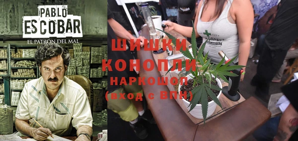 PSILOCYBIN Балахна