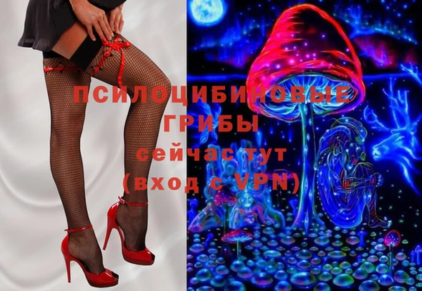 PSILOCYBIN Балахна