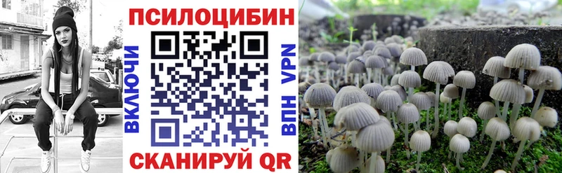 Псилоцибиновые грибы GOLDEN TEACHER  Плавск 